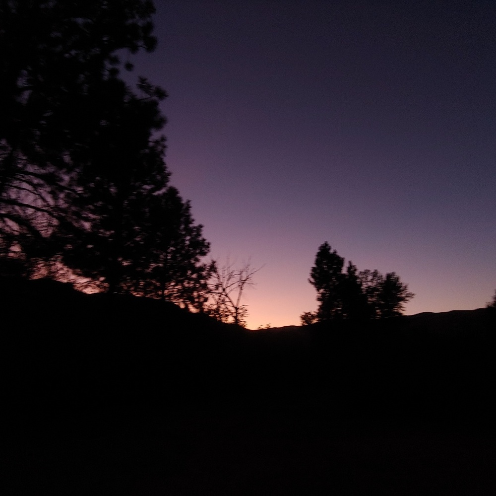 Meet your Posher, Bailey